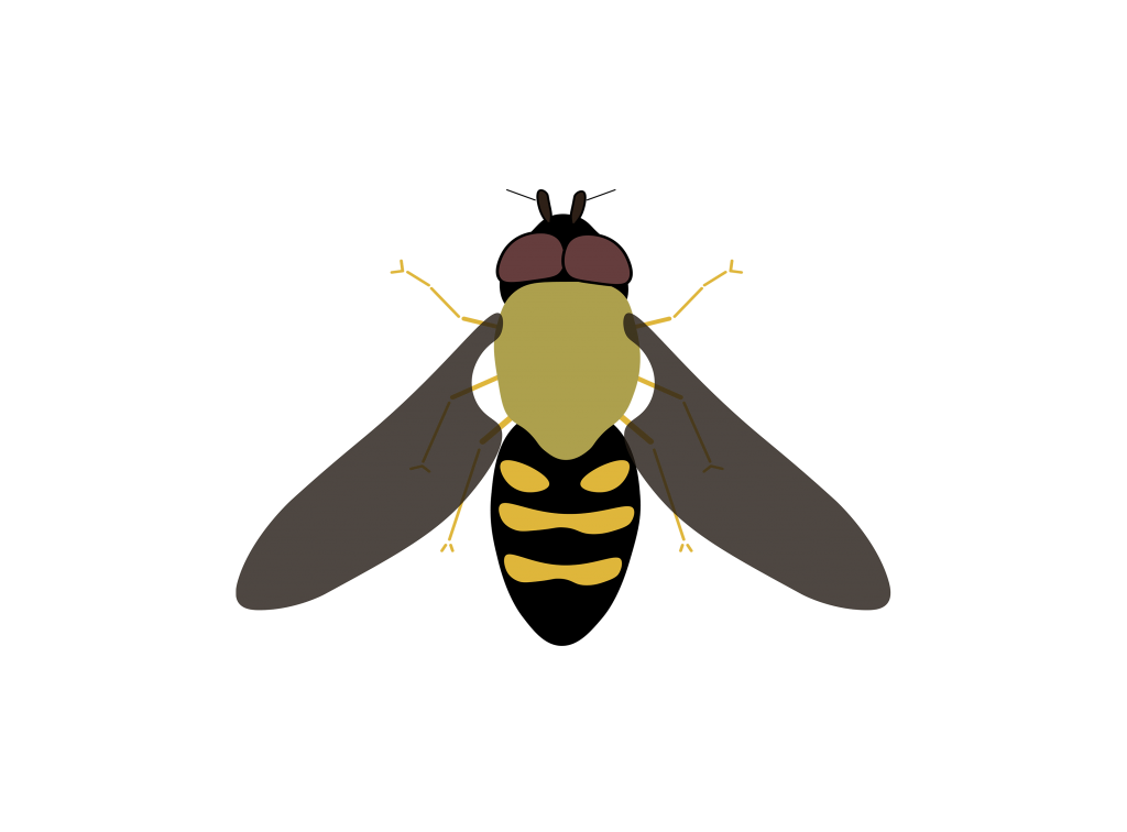 hover fly icon