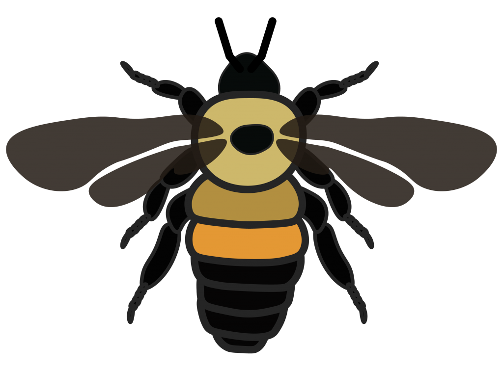 bumble bee icon