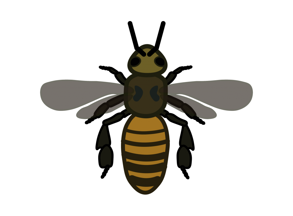 honey bee icon