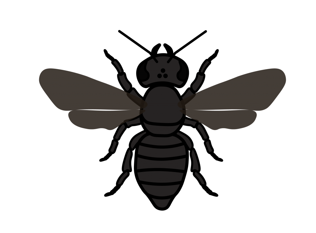 large dark bee icon