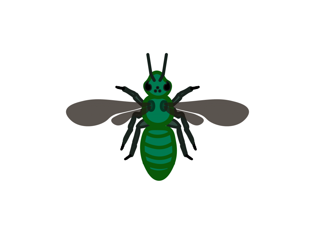 metallic green bee icon